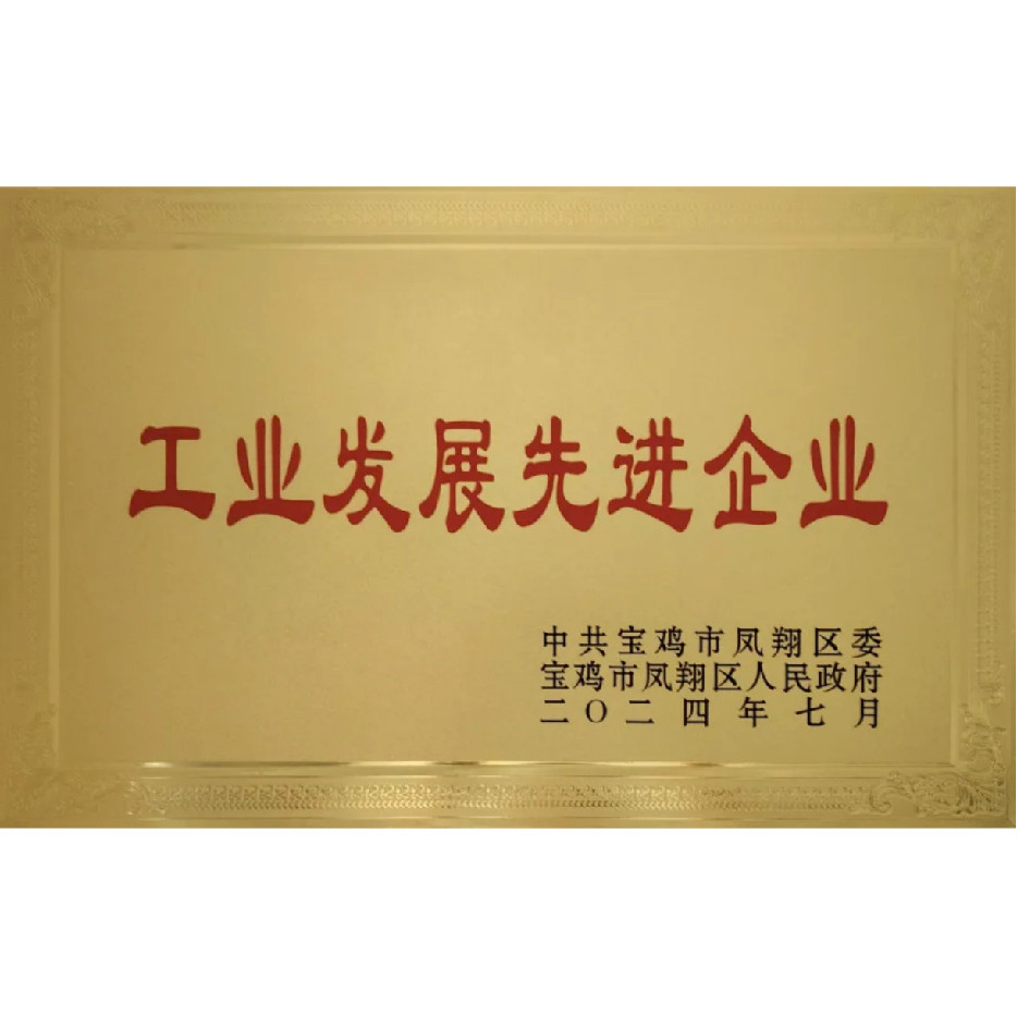 工業(yè)發(fā)展先進(jìn)企業(yè)