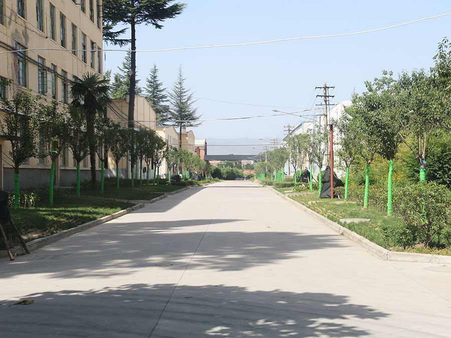 生產(chǎn)區(qū)主干道