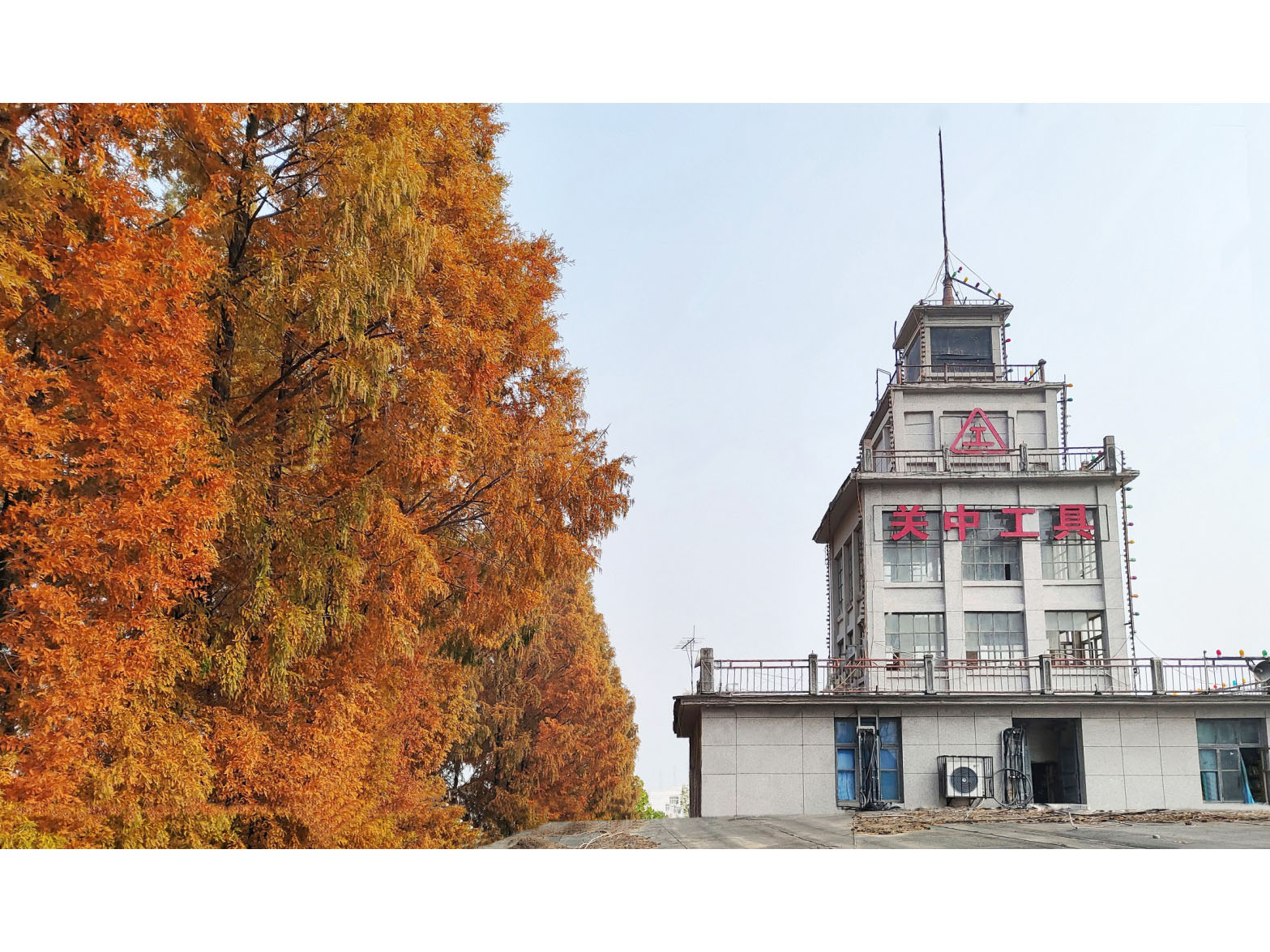 飽經(jīng)風霜本色不改